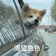姚畅畅 · 福睿斯车主·车龄7年头像