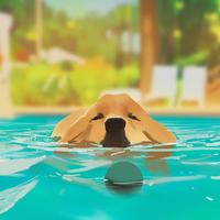 用户2628362612785头像