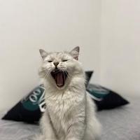 用户5488982589049头像