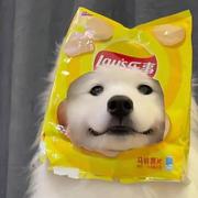 恋雨的个人资料头像