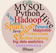 大数据孔的个人资料头像