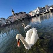 wen2gm的个人资料头像