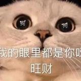孤夜头像