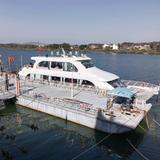 积极的河流HVF头像