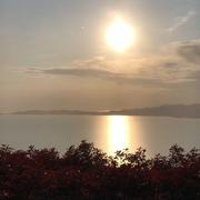 奥利奥176的个人资料头像