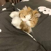 用户3921722367272的个人资料头像