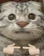 紫静的个人资料头像