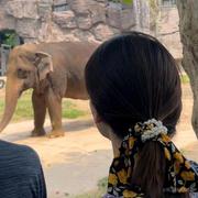 可靠的啧啧的个人资料头像