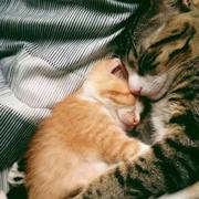 小陈生存之道的个人资料头像