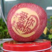 a葛优躺头像