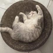 万无青年的个人资料头像