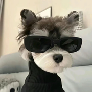 Soos的个人资料头像