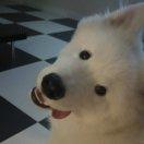 爱学习的个人资料头像