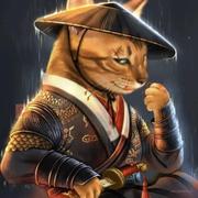 Cike的个人资料头像