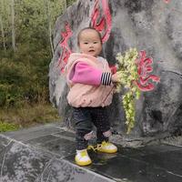 缤纷柳叶w6P头像