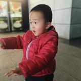 无心无461头像