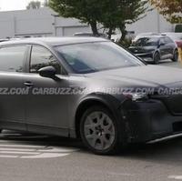 远见卓识原野zVl头像