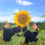 哦吼hh的个人资料头像