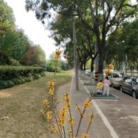 别太累吖1230头像