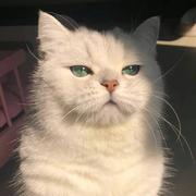 南北803的个人资料头像