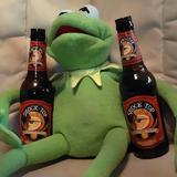 喝beer的青蛙头像