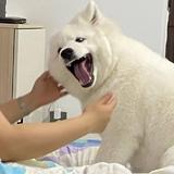 用户2275174578022头像