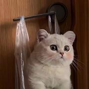 刘蔓的个人资料头像