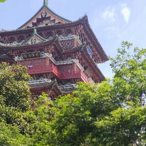 高山有流水头像