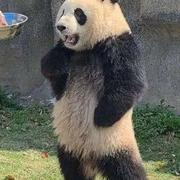 贝籁的个人资料头像