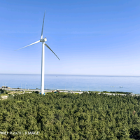 自己看看老刘头像