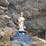 只要不倒努力去拼头像