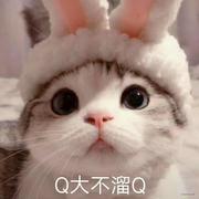 三月ya的个人资料头像