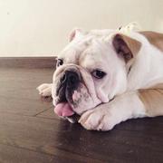 mrsanshui的个人资料头像