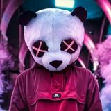 丶小猪哥丶头像