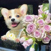 chienninglee的个人资料头像