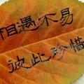 见到不顺就说头像
