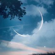 coldLight的个人资料头像