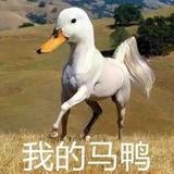 雅迪是我的梦头像