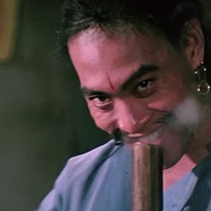 卿风徐来头像