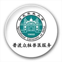 勇敢的水滴qKN头像