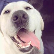 阿囍的个人资料头像