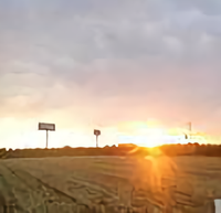 人间自有真情在7头像