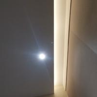 肥肥小恐龙头像