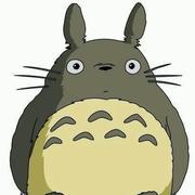 龙猫的旅途的个人资料头像