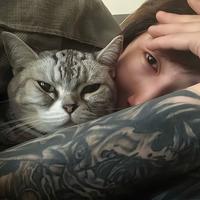 顺势而为68868头像