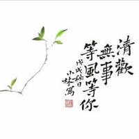 徐8岁的退休生活头像