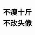 骚男838头像