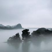 小熊猫啃馍的个人资料头像