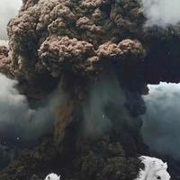 善良芒果vt头像