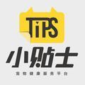 TIPS小贴士头像